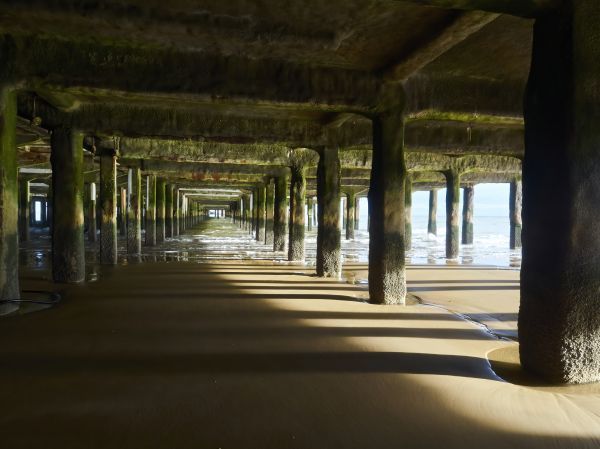 Cost of Pier And Beam Leveling in Macomb